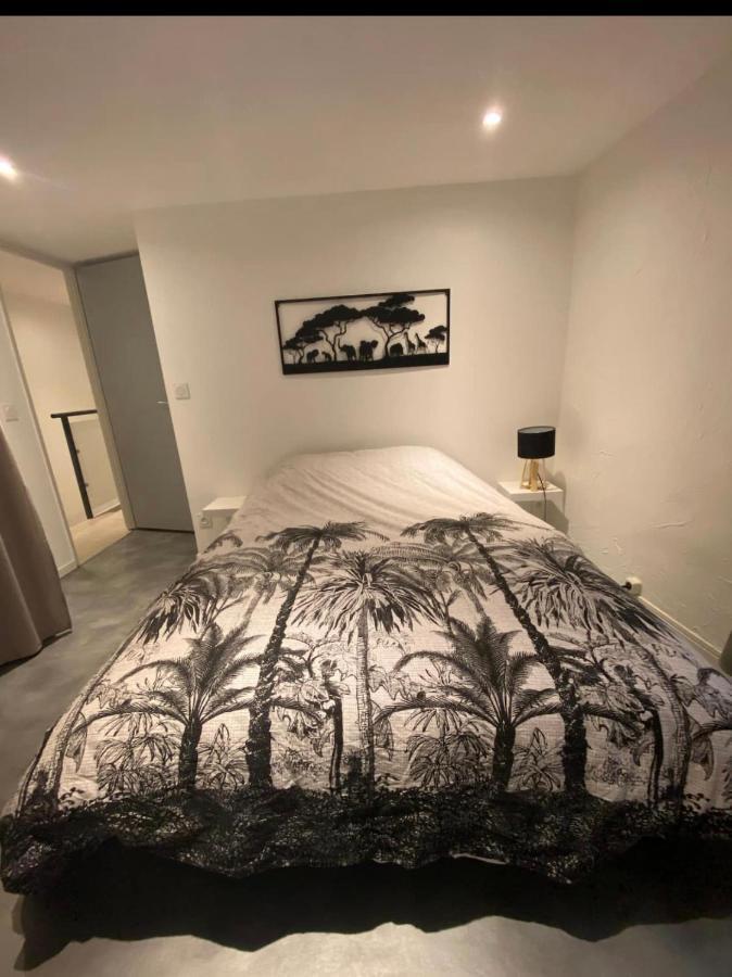 Le Boldieu- Duplex Beziers -Allee Paul Riquet- Wifi- Tv Connecte Экстерьер фото